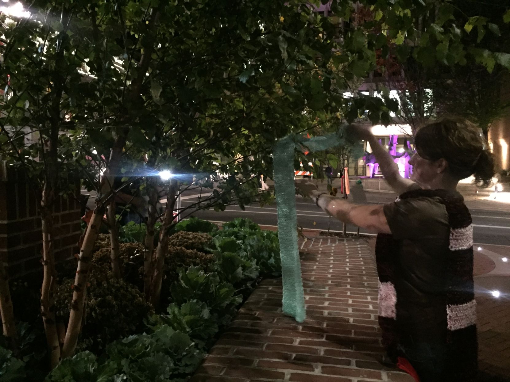 Wrap Up! Project